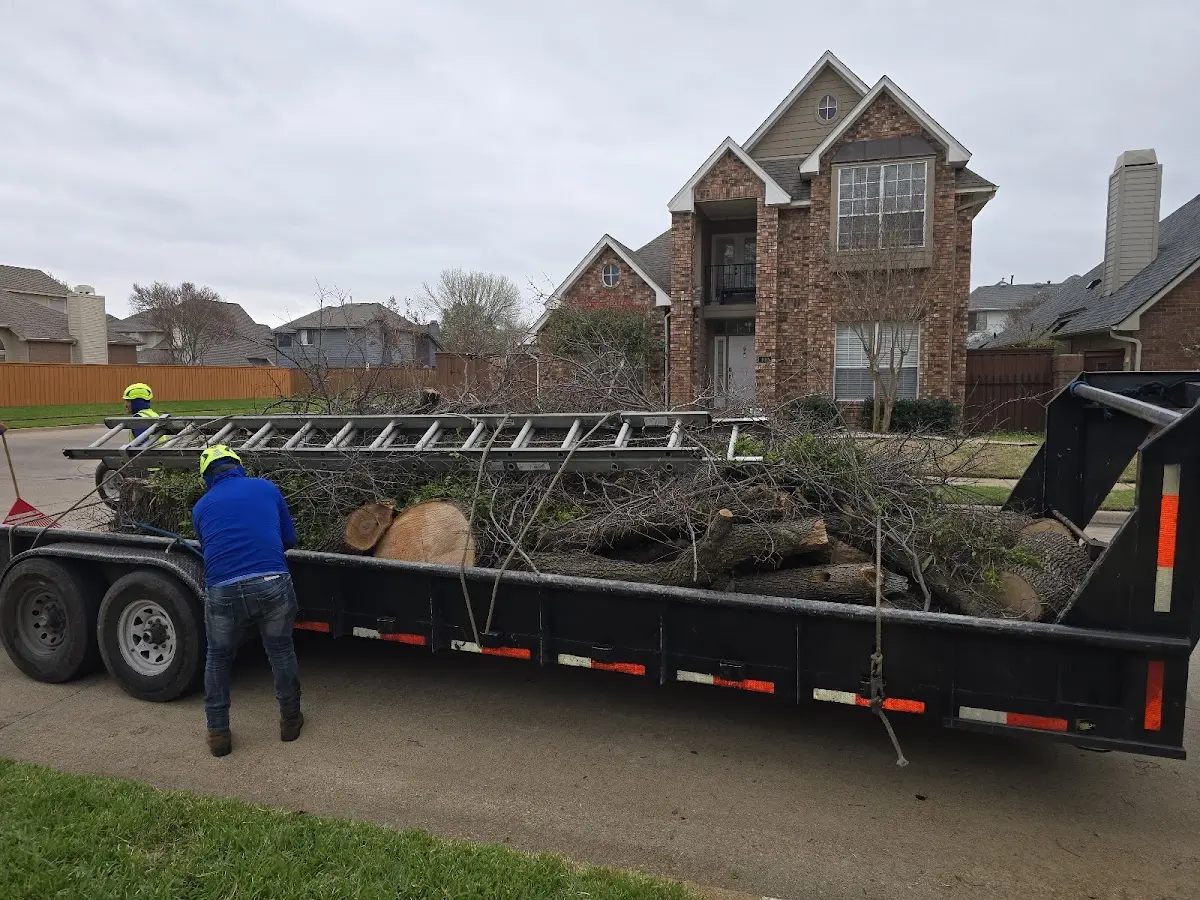 Expert Tree Removal with proper safety equipment in Rock Tavern